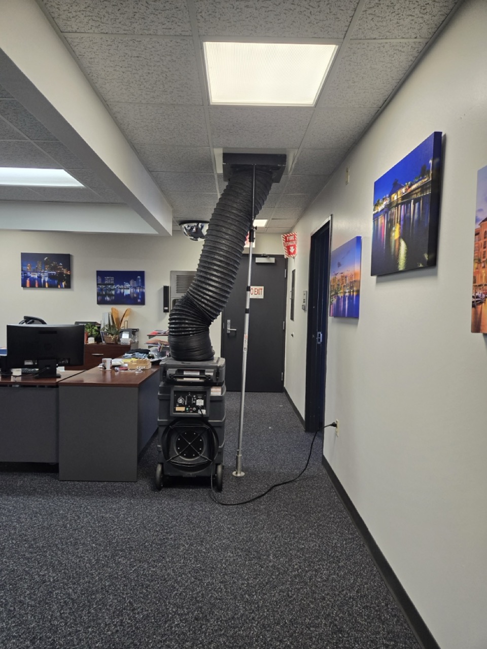 20241027 124431 large.jpeg