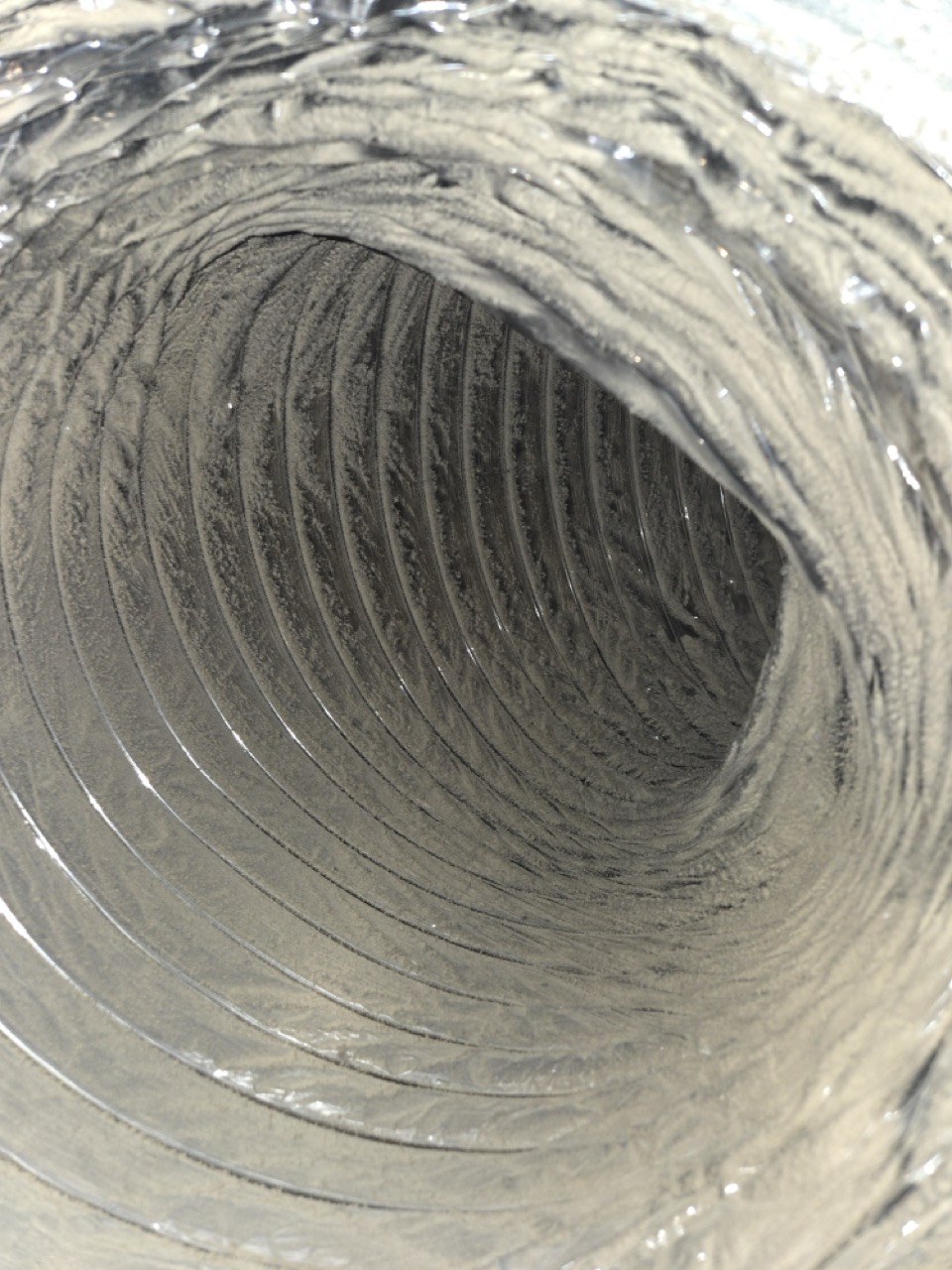 20250119 100836 large 1.jpeg