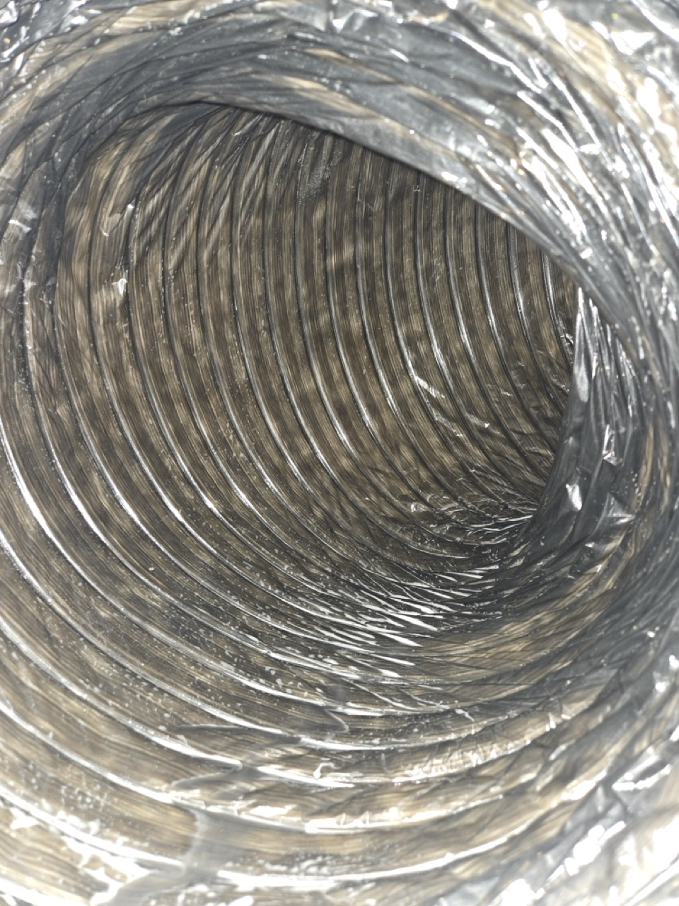 20250119 101632 large 1.jpeg